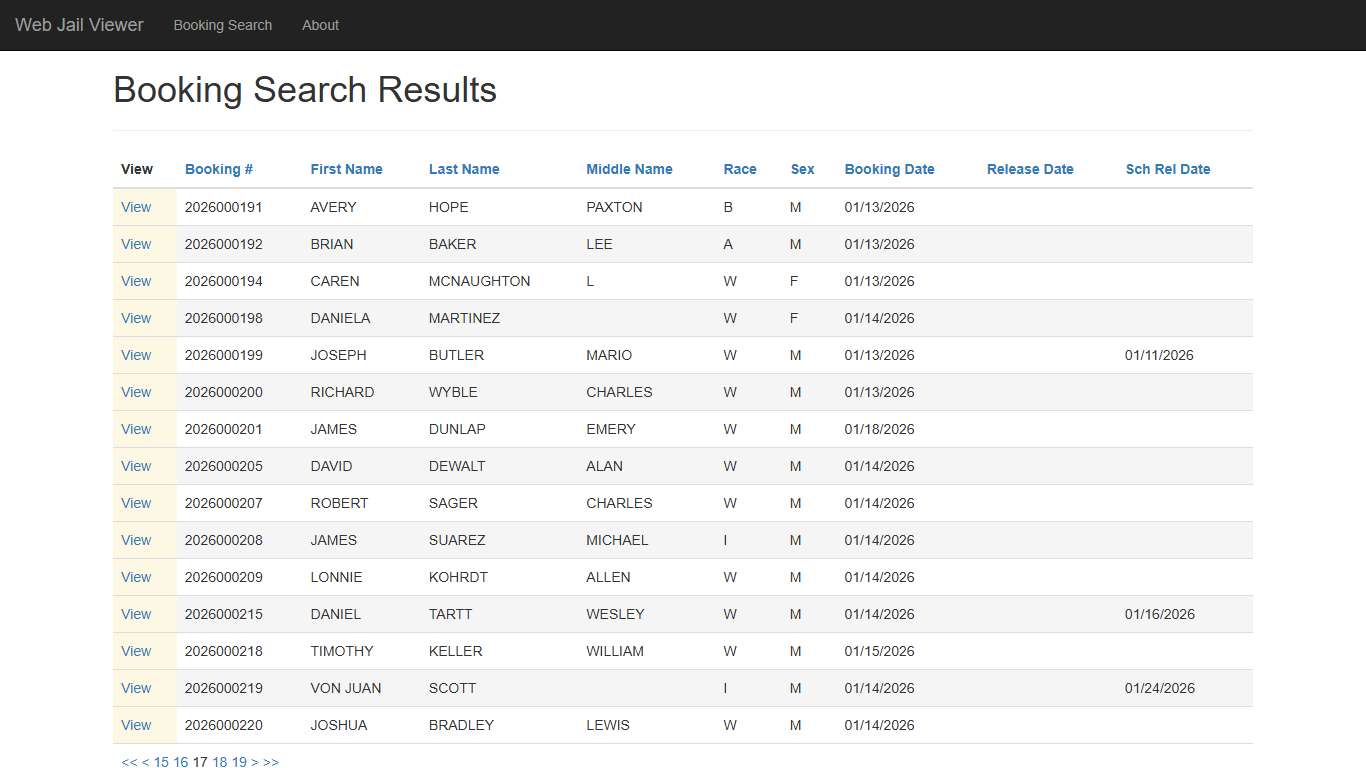 BookingSearchDetail - Web Jail Viewer