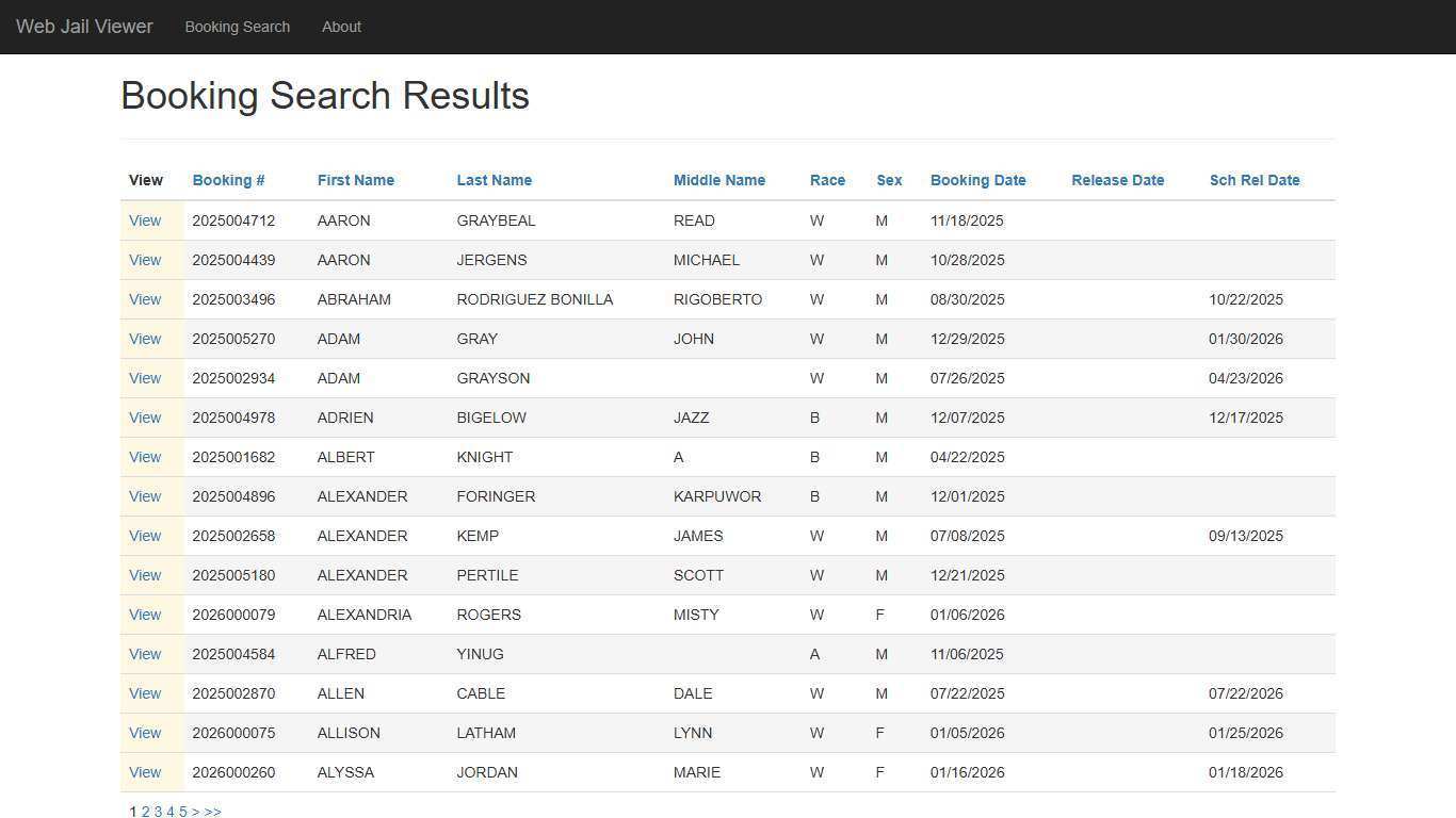 BookingSearchDetail - Web Jail Viewer