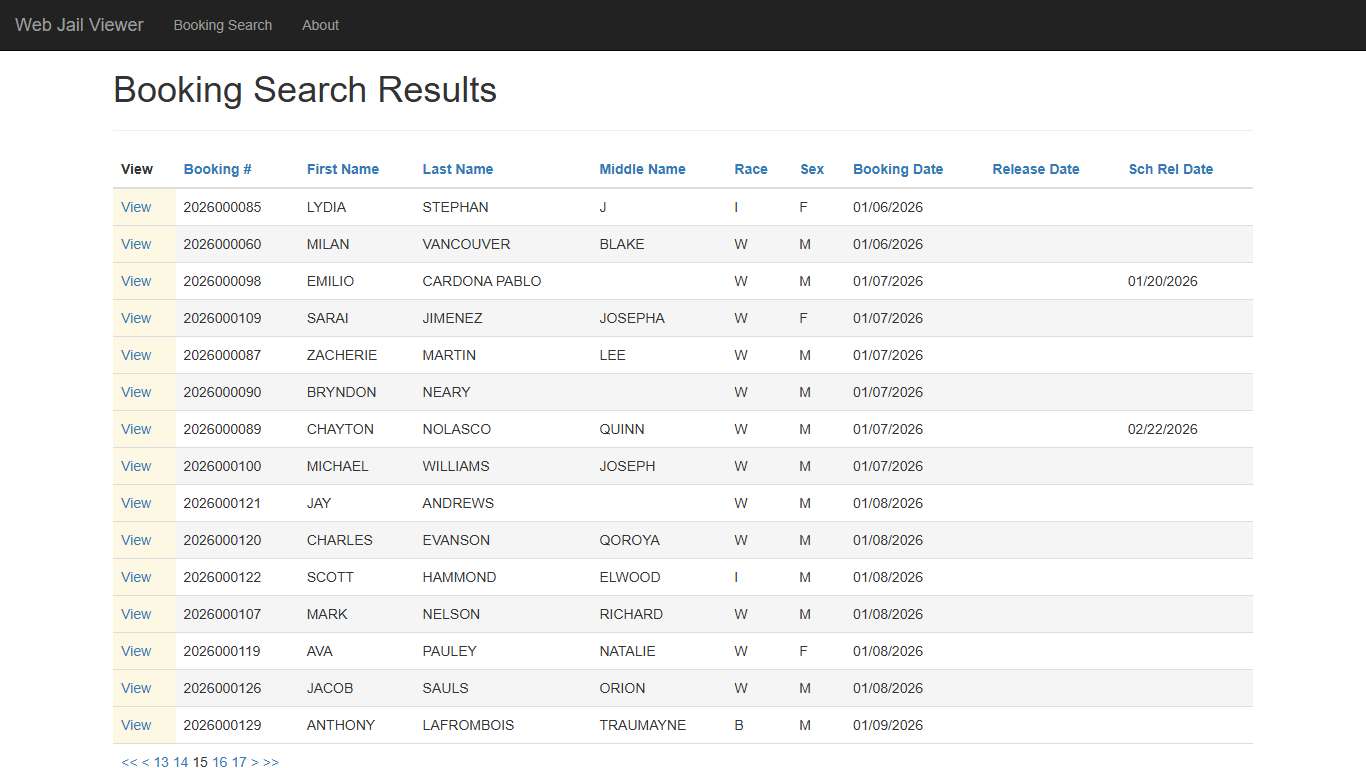 BookingSearchDetail - Web Jail Viewer