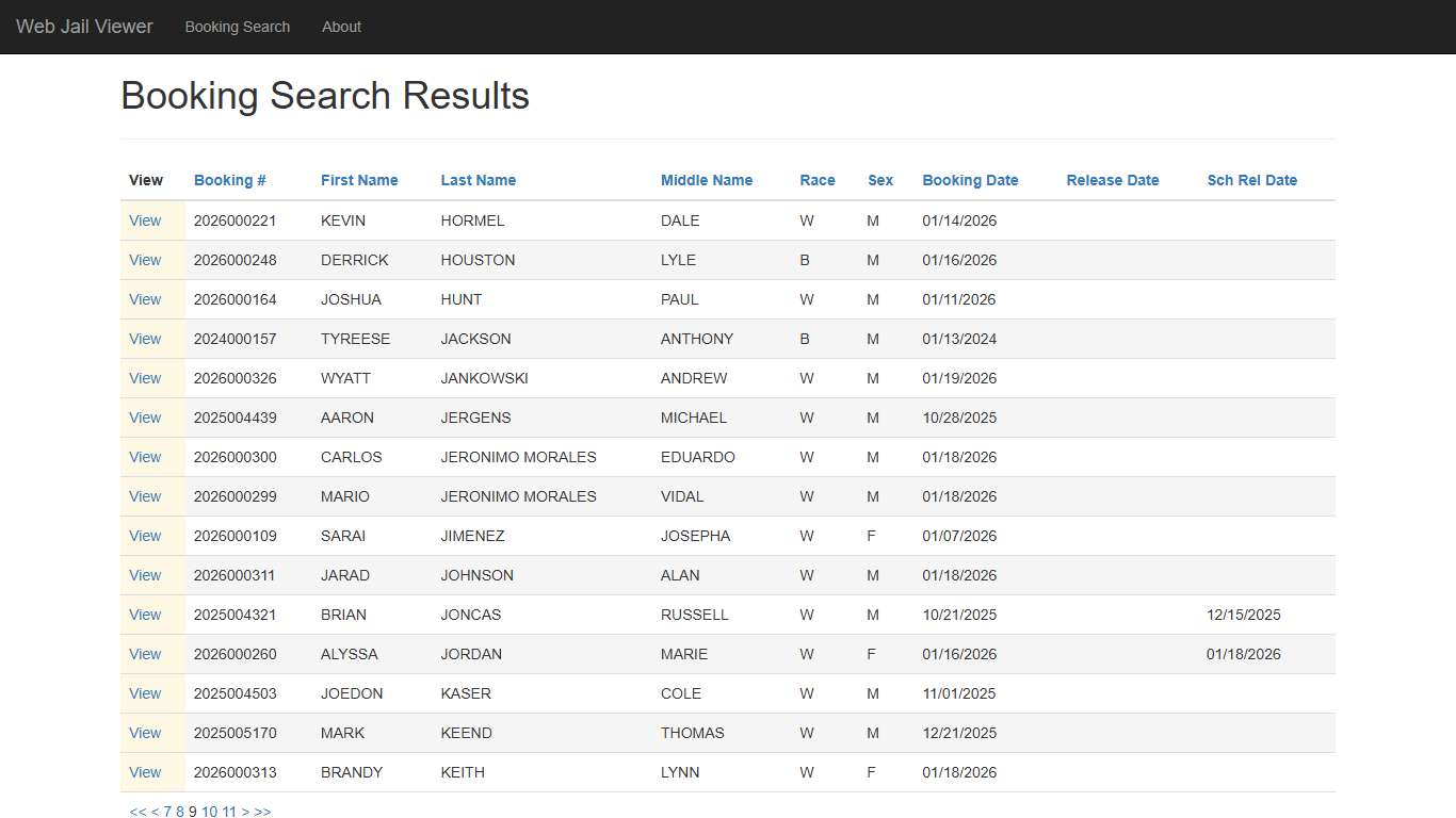 BookingSearchDetail - Web Jail Viewer